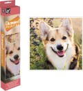 Diamond Painting - Hund - 30X30 Cm