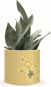 Peter Plys Plantekrukke - Honeycomb - Disney