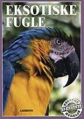 eksotiske fugle - bog