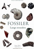 Fossiler