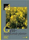 genmodificerede planter - 7