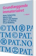 grundlæggende immaterialret, 2. udg - bog