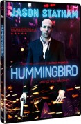 Hummingbird