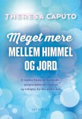 meget mere mellem himmel og jord - bog