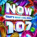 Now That S What I Call Music - 107