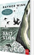 Saltstien