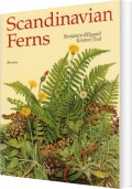 scandinavian ferns - bog