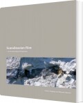 scandinavian flint - bog
