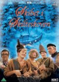 skibet i skilteskoven - tv2 julekalender - DVD