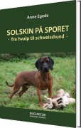 Solskin På Sporet