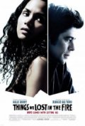 things we lost in the fire - DVD