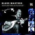 Blues Masters