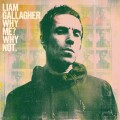 Liam Gallagher - Why Me Why Not