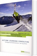 action learning consulting - bog