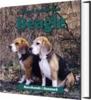beagle - bog