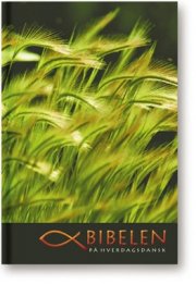 bibelen på hverdagsdansk, softcover med slipcase - bog