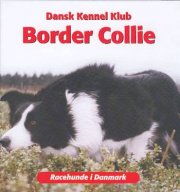border collie - bog