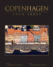 copenhagen from above - bog