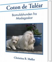 coton de tuléar - bog