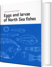 eggs and larvae of north sea fishes - bog