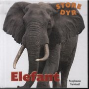 store dyr - elefant - bog