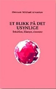 et blikk på det usynlige - bog