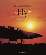 fly - bog
