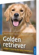 golden retriever - bog