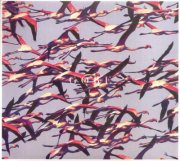 deftones - gore - cd