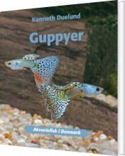 guppyer - bog