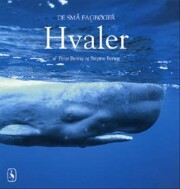 hvaler - bog