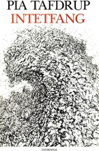 intetfang - bog