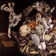 kate bush - never for ever - cd