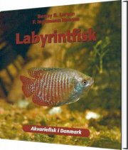 labyrintfisk - bog