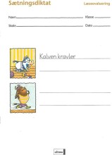 læseevaluering, sætningsdiktat á 10 stk - bog