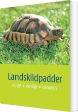 landskildpadder - bog