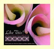 rumi - like this! - cd