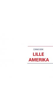 lille amerika - bog