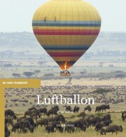 luftballon - bog