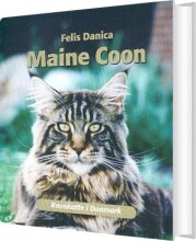 maine coon - bog