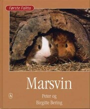 marsvin - bog