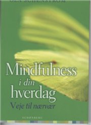 mindfulness i din hverdag - bog