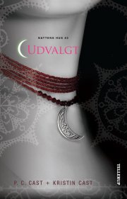 nattens hus #3: udvalgt - bog