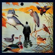 notwist - the devil you + me - cd