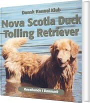 nova scotia duck tolling retriever - bog