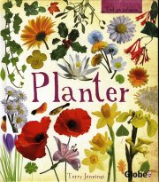 planter - bog