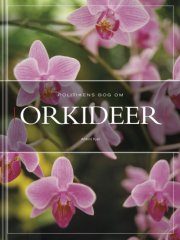 politikens bog om orkideer - bog