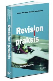revision i praksis - eksempelsamling - bog