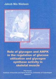 role of glycogen and ampk in the regulation of glucose utilization and glycogen synthase activity in skeletal muscle - bog