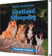 shetland sheepdog - bog